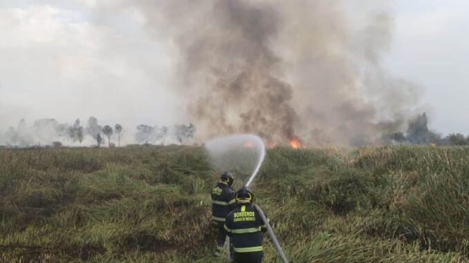 Incendio en Xochimilco arrasa con casi 8 hectáreas de vegetación