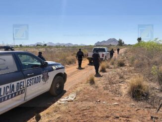 Hallan a hombre sin vida en una brecha de la colonia Veteranos
