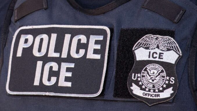 Gobierno llevará a la CIDH las muertes de mexicanos bajo custodia del ICE