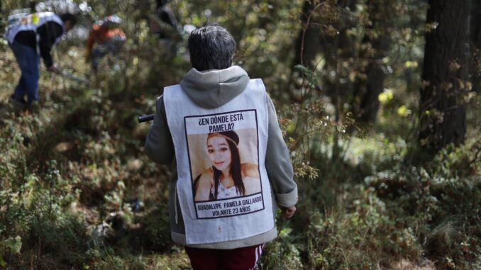 México acusa a la ONU de elaborar un informe «tendencioso» sobre desapariciones en el país