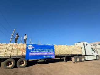 Abre SDR convocatoria de apoyo de maíz para productores pecuarios en Chihuahua