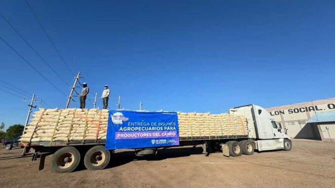 Abre SDR convocatoria de apoyo de maíz para productores pecuarios en Chihuahua