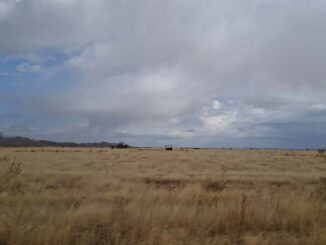 Ingresa frente frío 43 con lluvia, viento y descenso de temperatura en la entidad