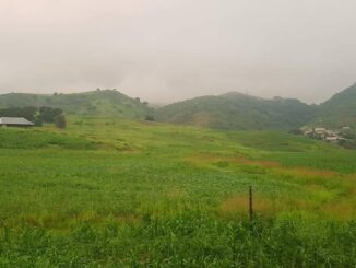 Frente Frío 43 ocasiona lluvia, descenso de temperaturas y viento en el estado