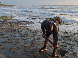 Sheinbaum anuncia creación de Observatorio del Golfo tras derrame de hidrocarburo