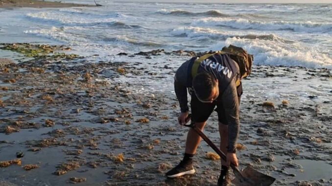 Sheinbaum anuncia creación de Observatorio del Golfo tras derrame de hidrocarburo