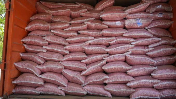 Abre SDR convocatoria para apoyo en semilla de frijol