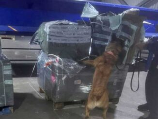 Aseguran casi dos millones de cigarros ilegales en el AICM provenientes de Asia