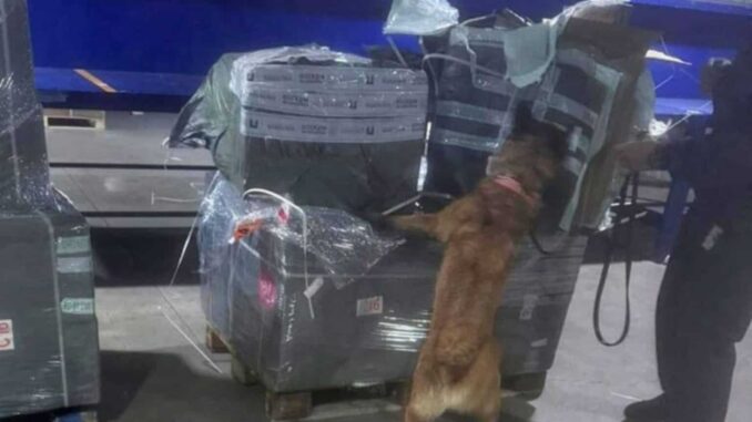 Aseguran casi dos millones de cigarros ilegales en el AICM provenientes de Asia