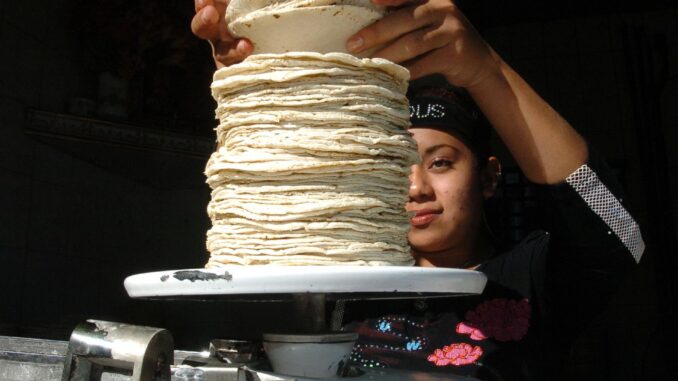 «No hay ninguna razón»: Sheinbaum descarta incremento en el precio de la tortilla