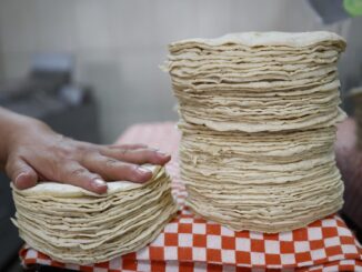 Descartan Agricultura y Profeco alza en precio de la tortilla