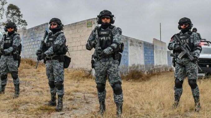 Fuerza Especial de Reacción e Intervención de la Guardia Nacional: Grupo de élite en operaciones de alto impacto