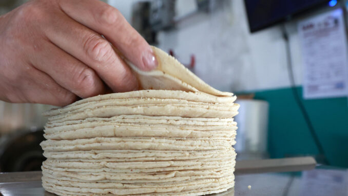 Tortilleros en México chocan con Gobierno por alza de precios, costos e informalidad