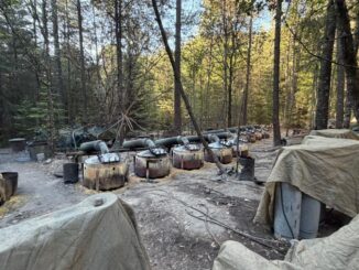 Localizan dos laboratorios de metanfetamina en la sierra, entre Morelos y Guachochi