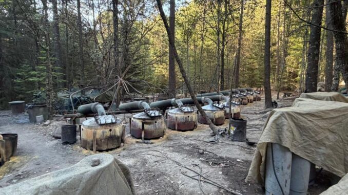 Localizan dos laboratorios de metanfetamina en la sierra, entre Morelos y Guachochi